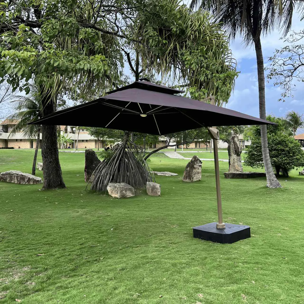 Marrom Café - Imagem 4