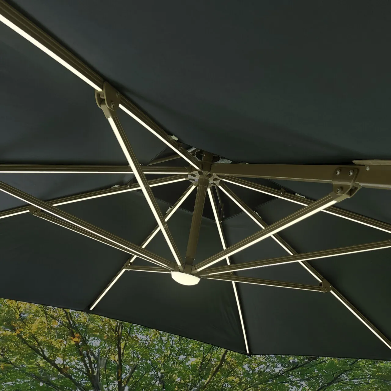 Verde Escuro - Imagem 7